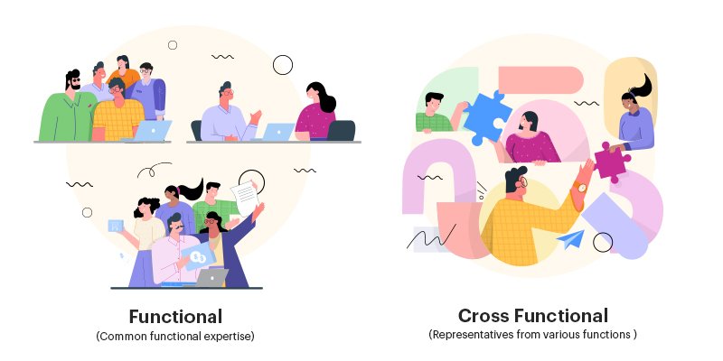 Functional teams vs cross functional teams
